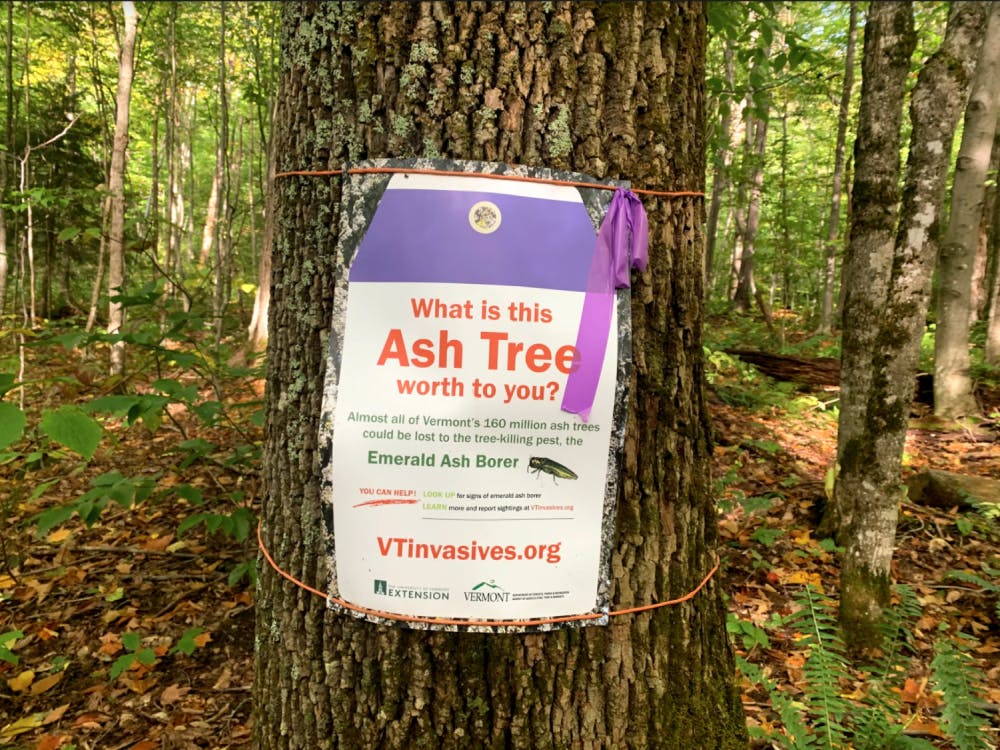 Screen-Shot-2021-09-29-at-9.00.45-PM