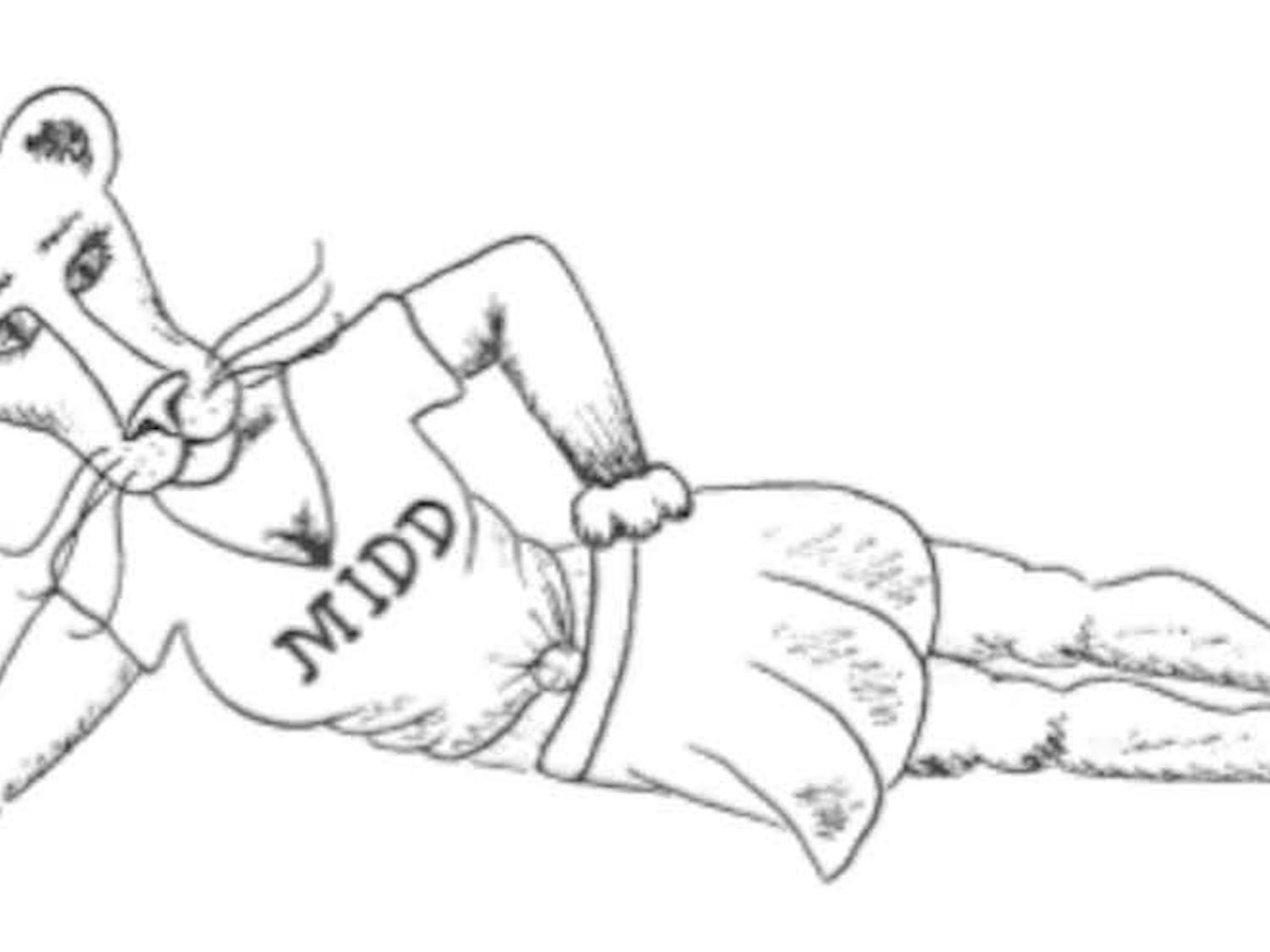 Copy of SPECS panther (2) (1) (1).jpg