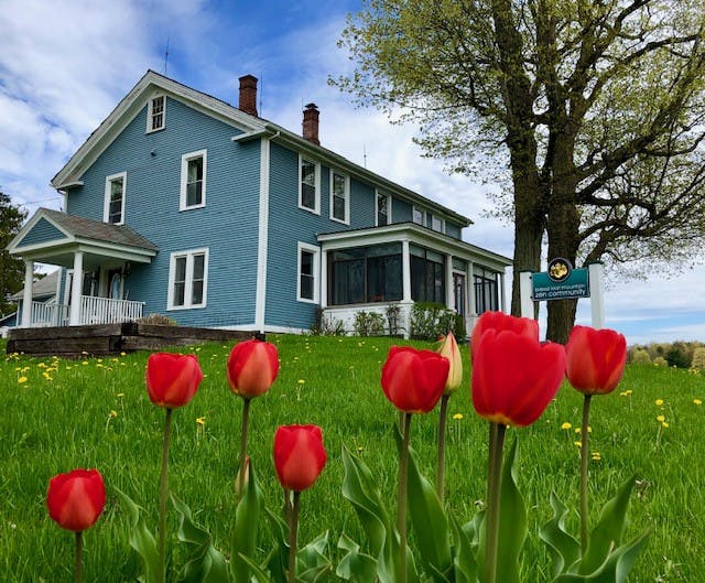 Photo Cornwall house with tulips.jpeg