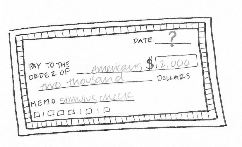 stimulus-check-by-Sarah-Fagan-1