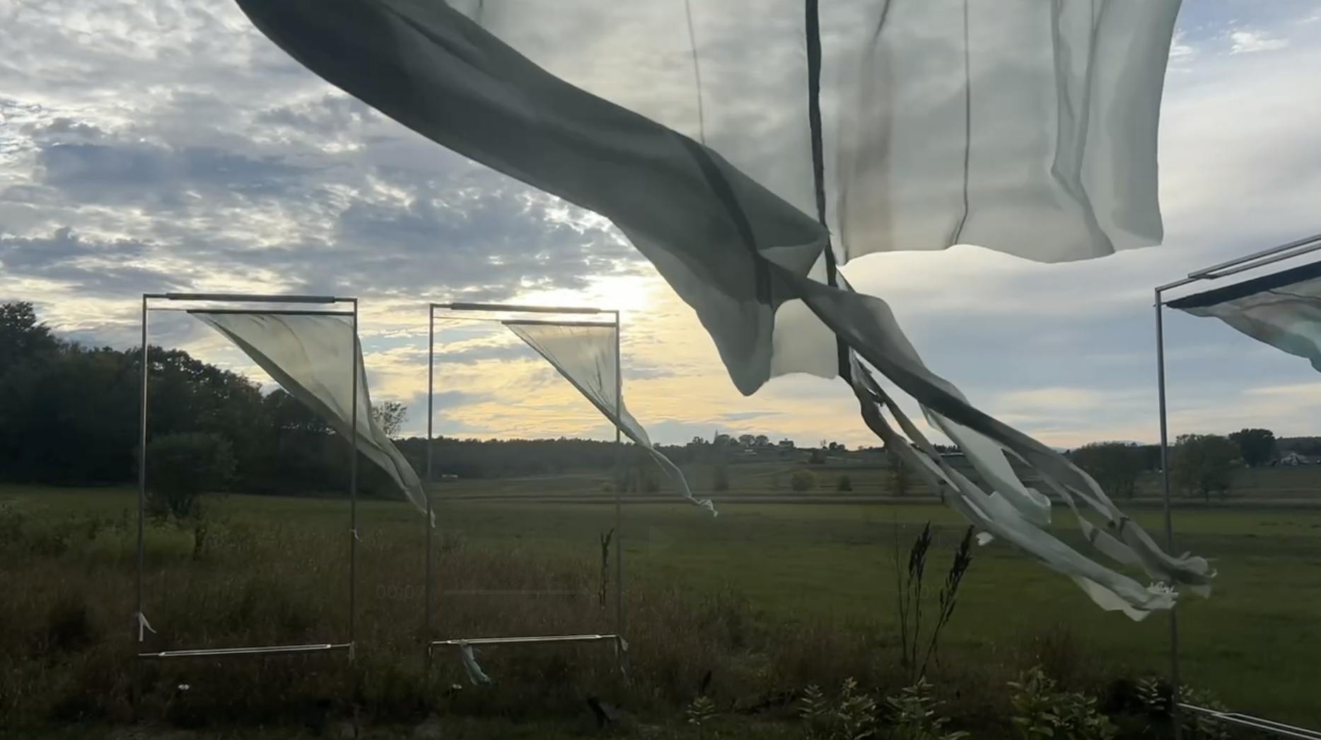 Lemon Fair_Ellie Trinkle.png