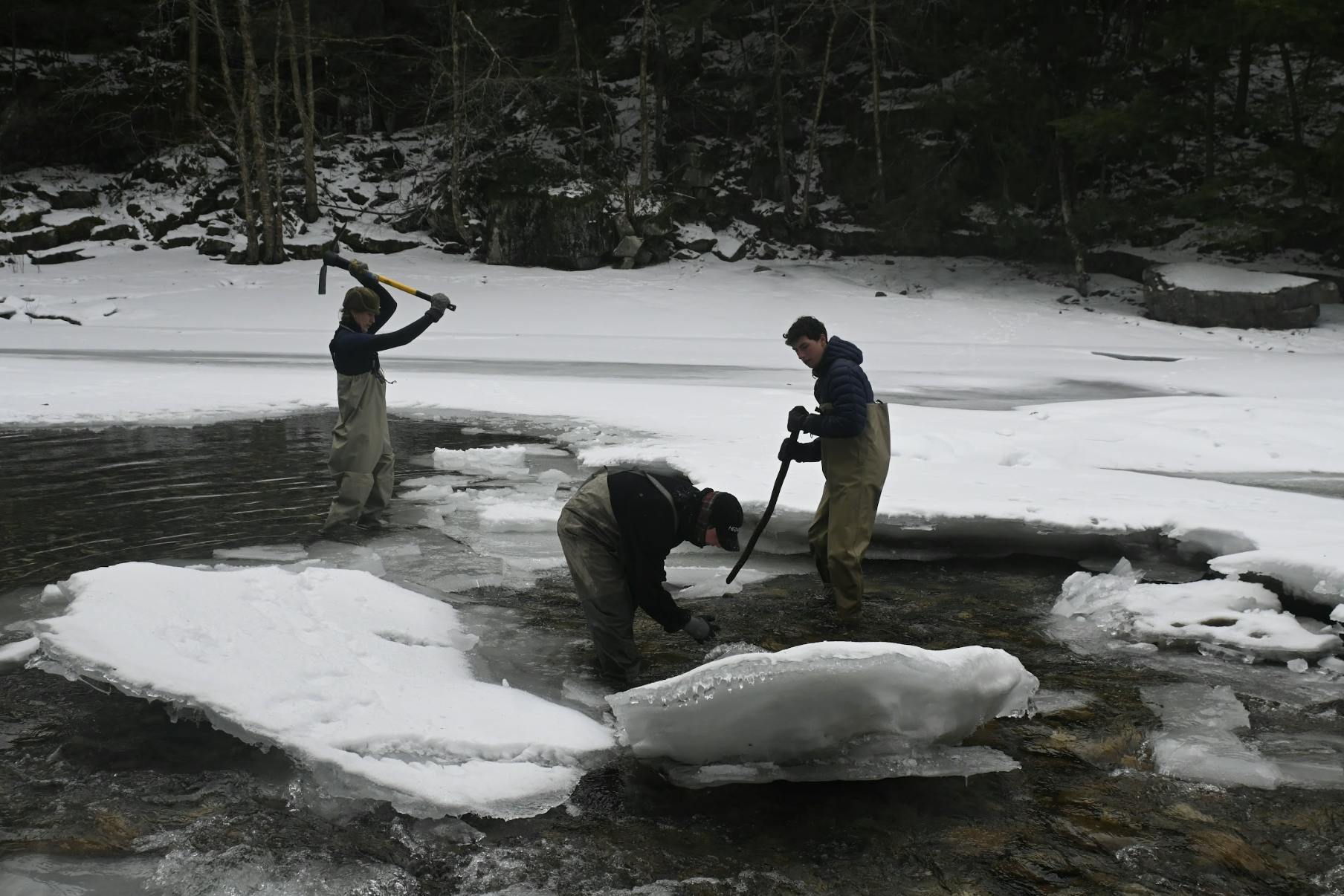 Screenshot 2026-01-15 at 1.27.56 AM.png