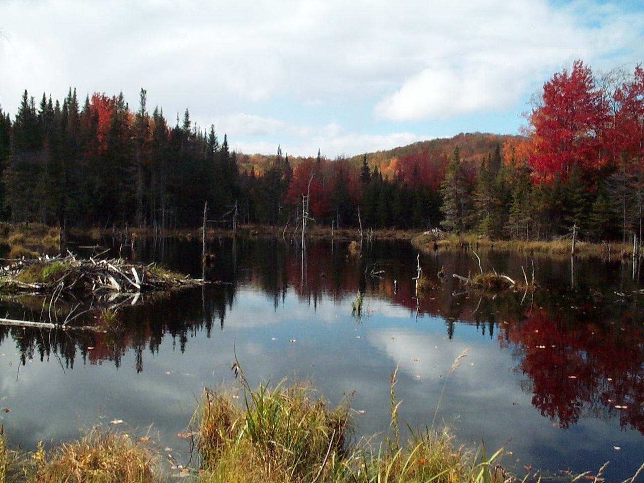 Abbey Pond Trail.jpg