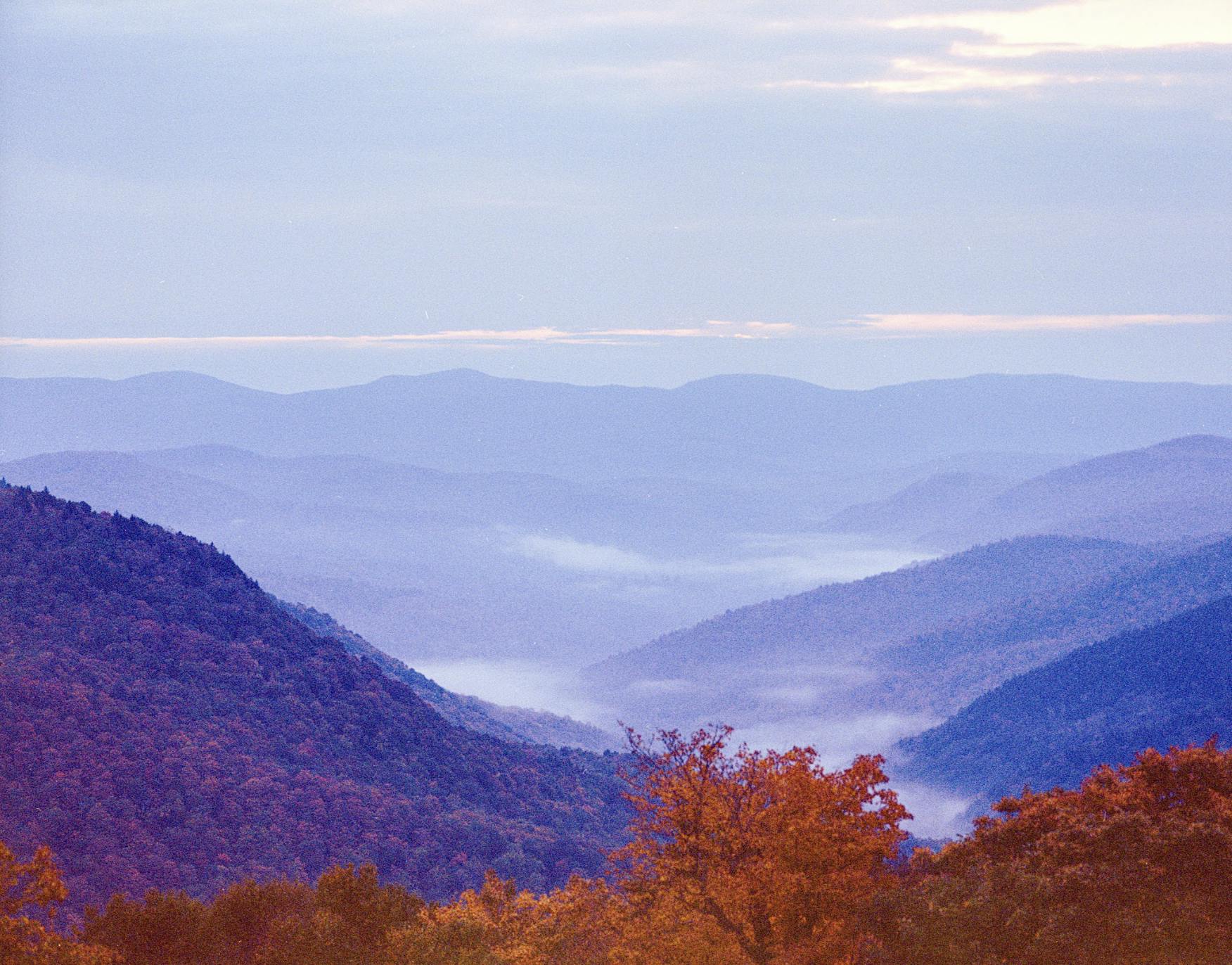 Screenshot 2025-03-12 at 8.34.59 PM.png