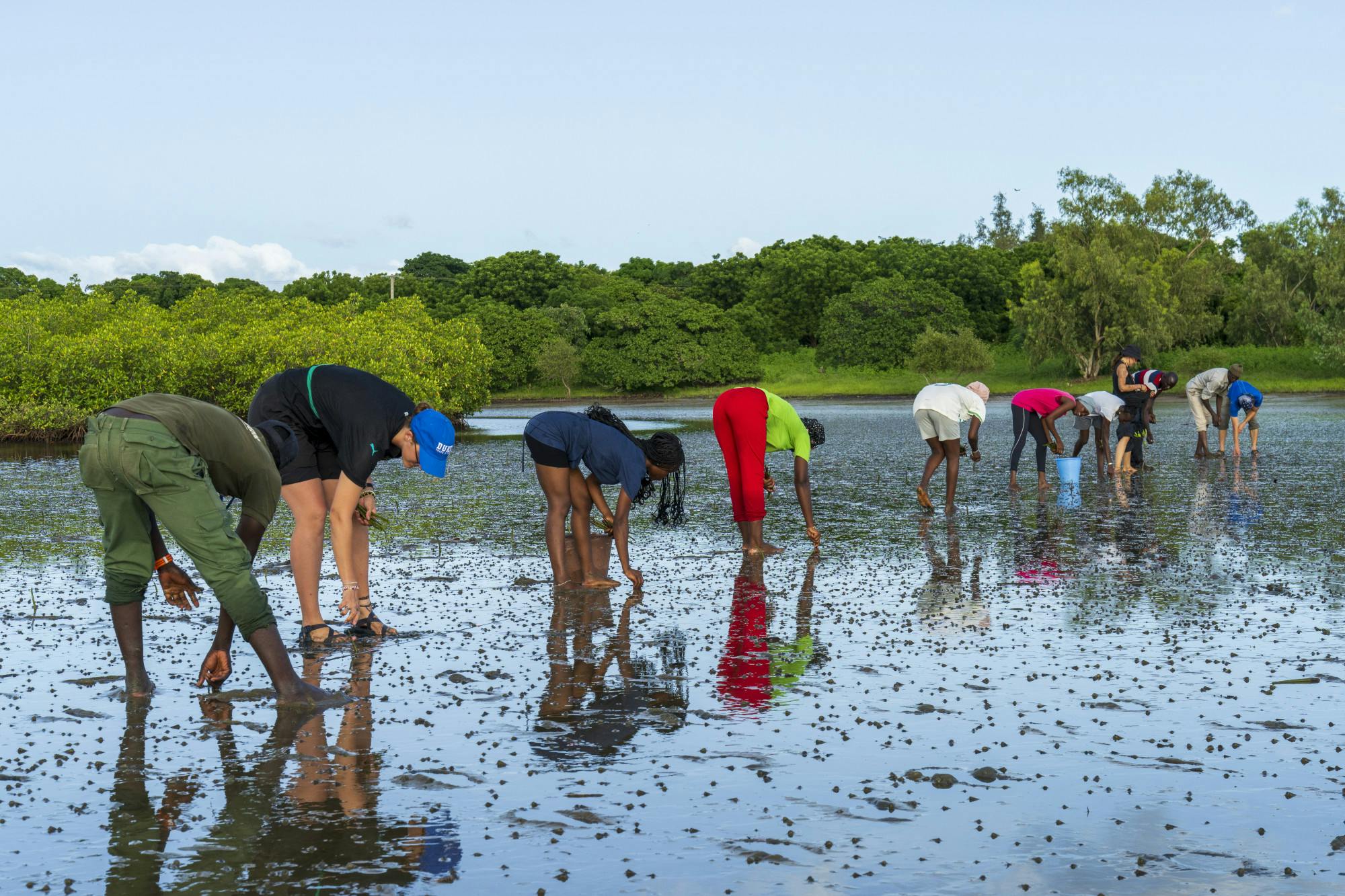 Middlebury named one of the top producers of Peace Corps volunteers