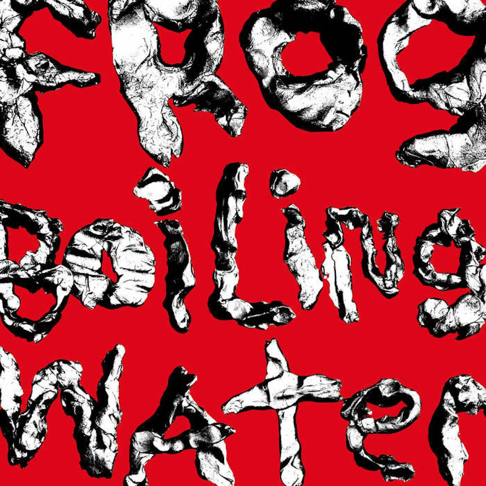 The cover from DIIV’s album “Frogs In Boiling Water.”