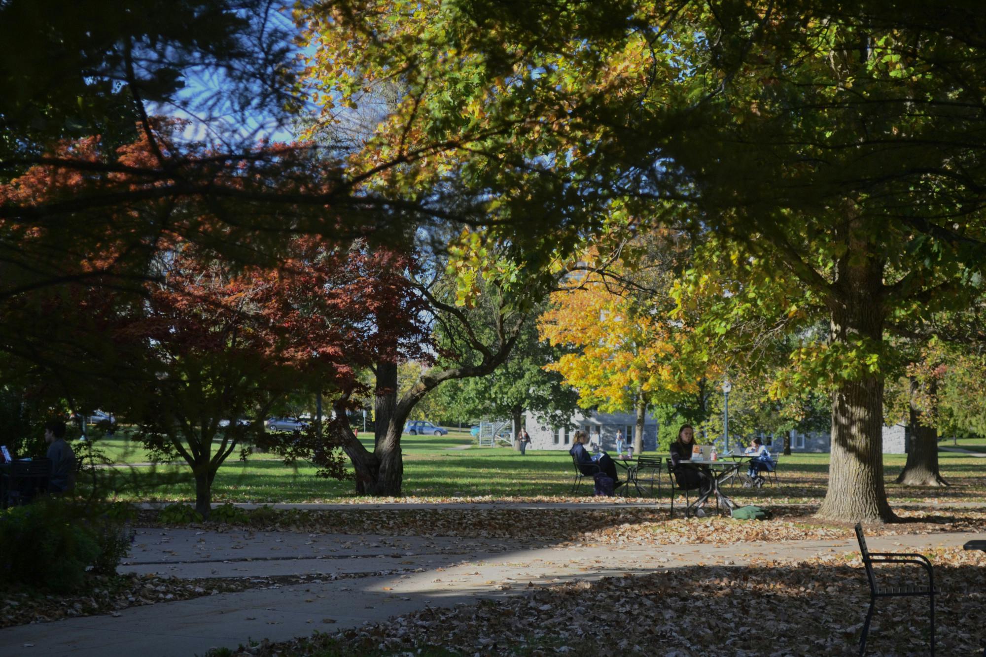 Main image for online.JPG