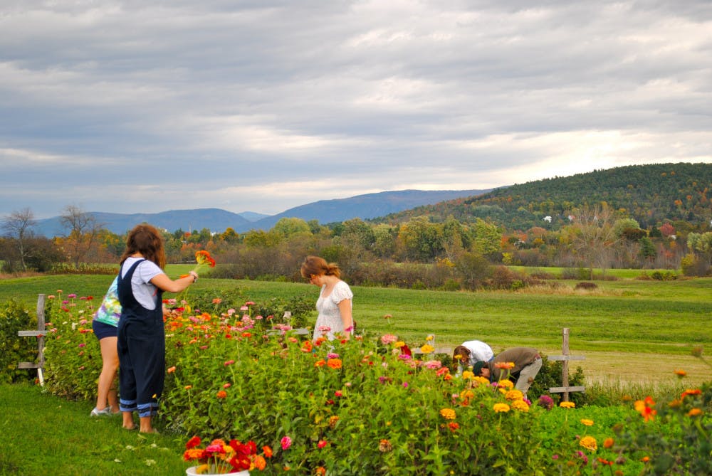 organic-garden_color