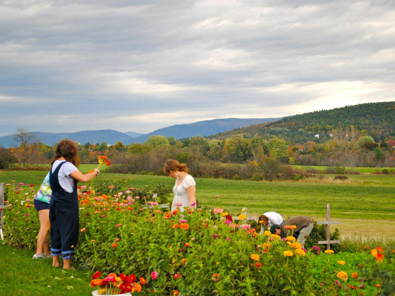 organic-garden_color