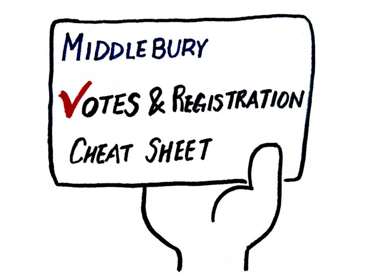 Voting-Guide-by-Sarah-Fagan