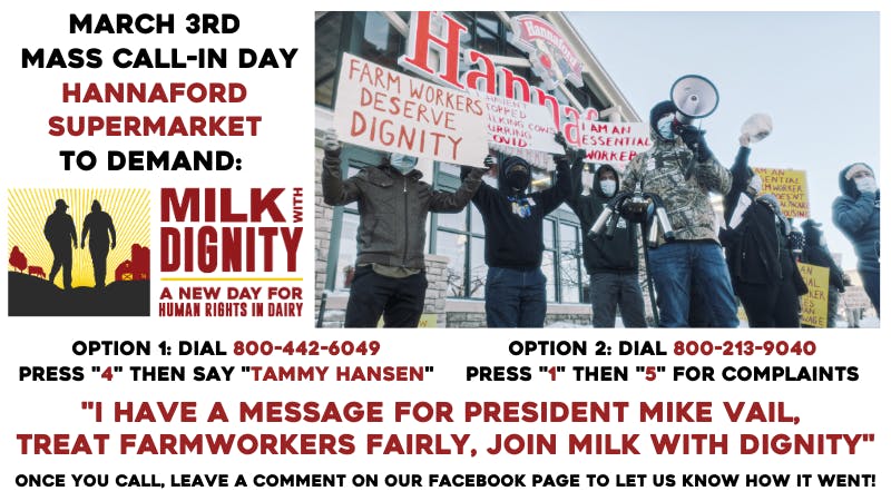 GoogleDrive_File_000