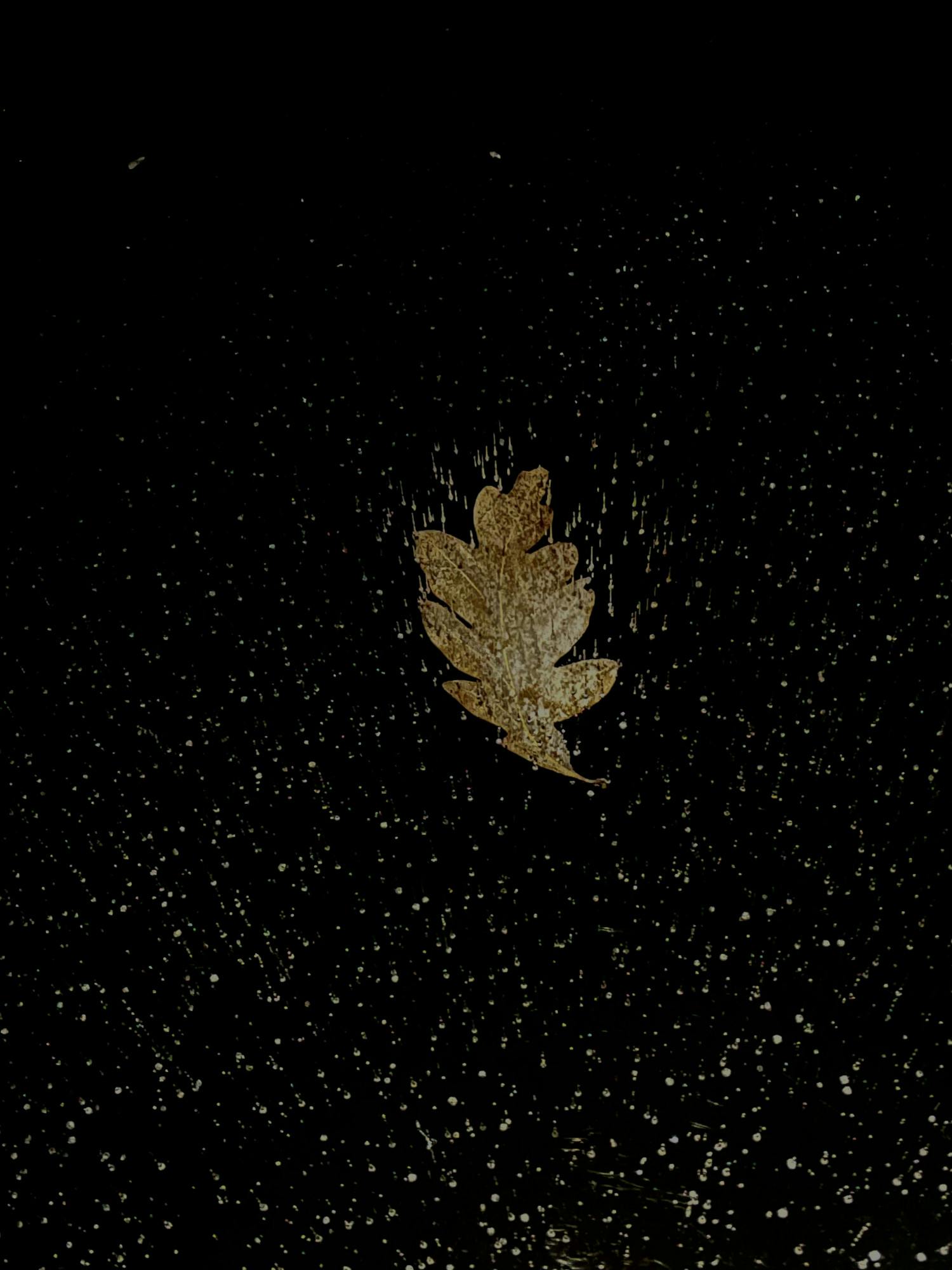 Lake Dunmore Moonlight Ice Skating - Frannie Newman _24.jpg