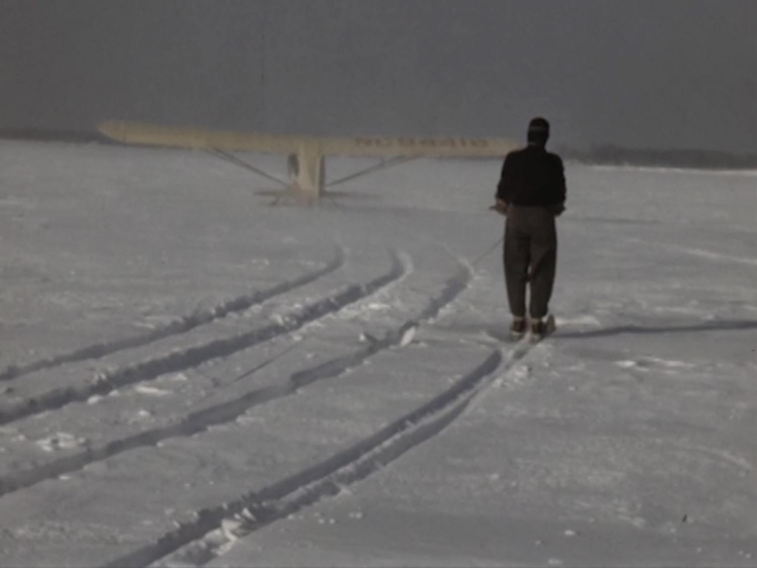 Aero-skijoring 1.png