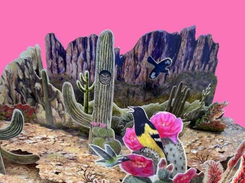 From the Archives_ Pop-Up Books.jpeg