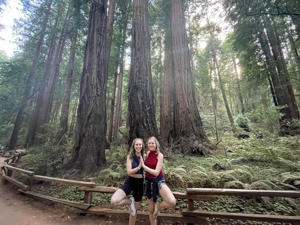 Emily and her cousin in tree pose in California. 
