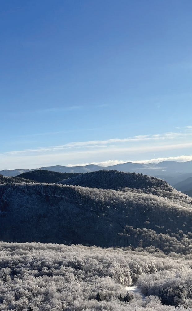 Screen Shot 2023-01-25 at 20.00.10.png