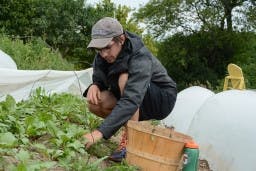 thibault_lannoy_knoll_2018_office-of-communications