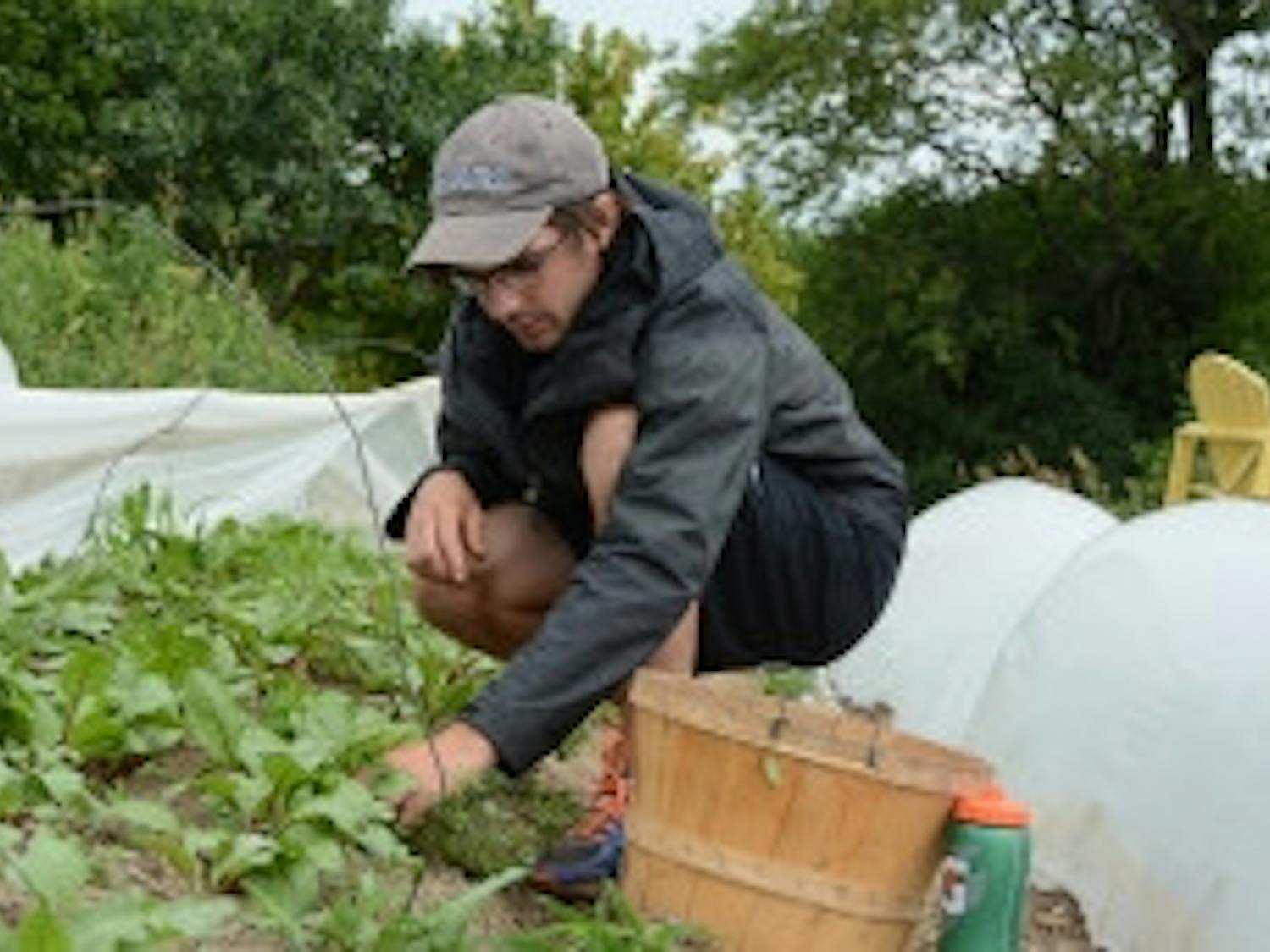 thibault_lannoy_knoll_2018_office-of-communications