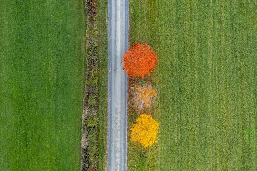 <p>Caleb Kenna began drone photography in 2017, and enjoys finding abstract patterns in landscapes. Weybridge, Vermont.</p>