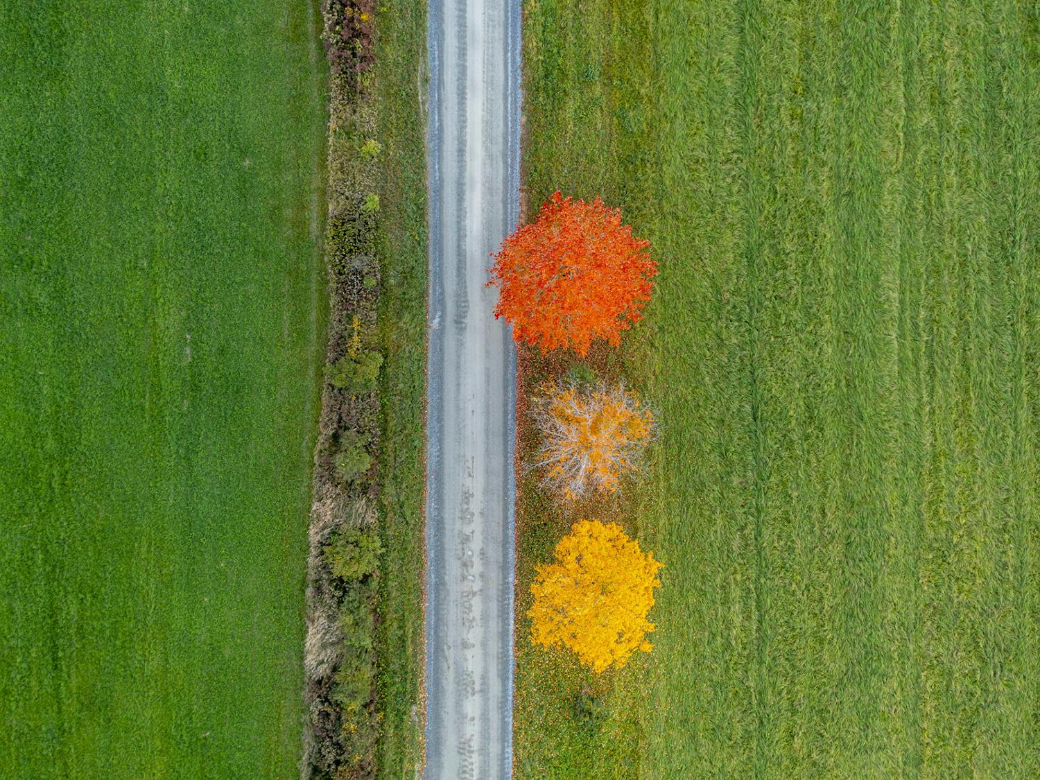 20211015_vtweybridge-22 (1).jpg