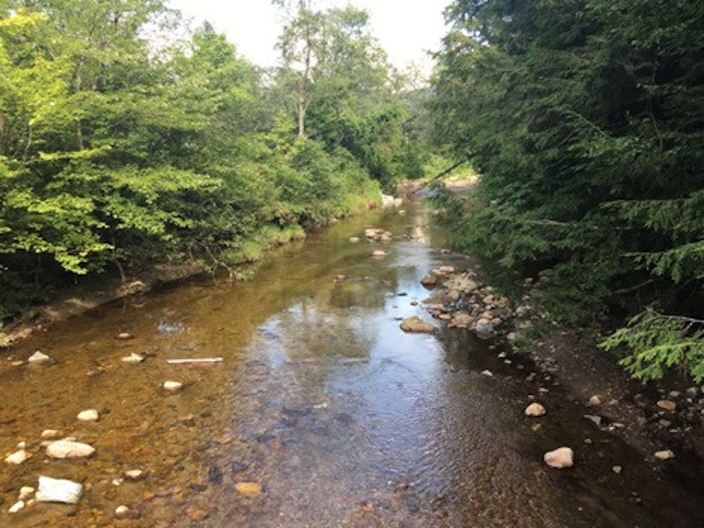 <span class="photocreditinline">Ellie Kroger/The Middlebury Campus</span><br />A river along the Robert Frost Interpretive Trail.