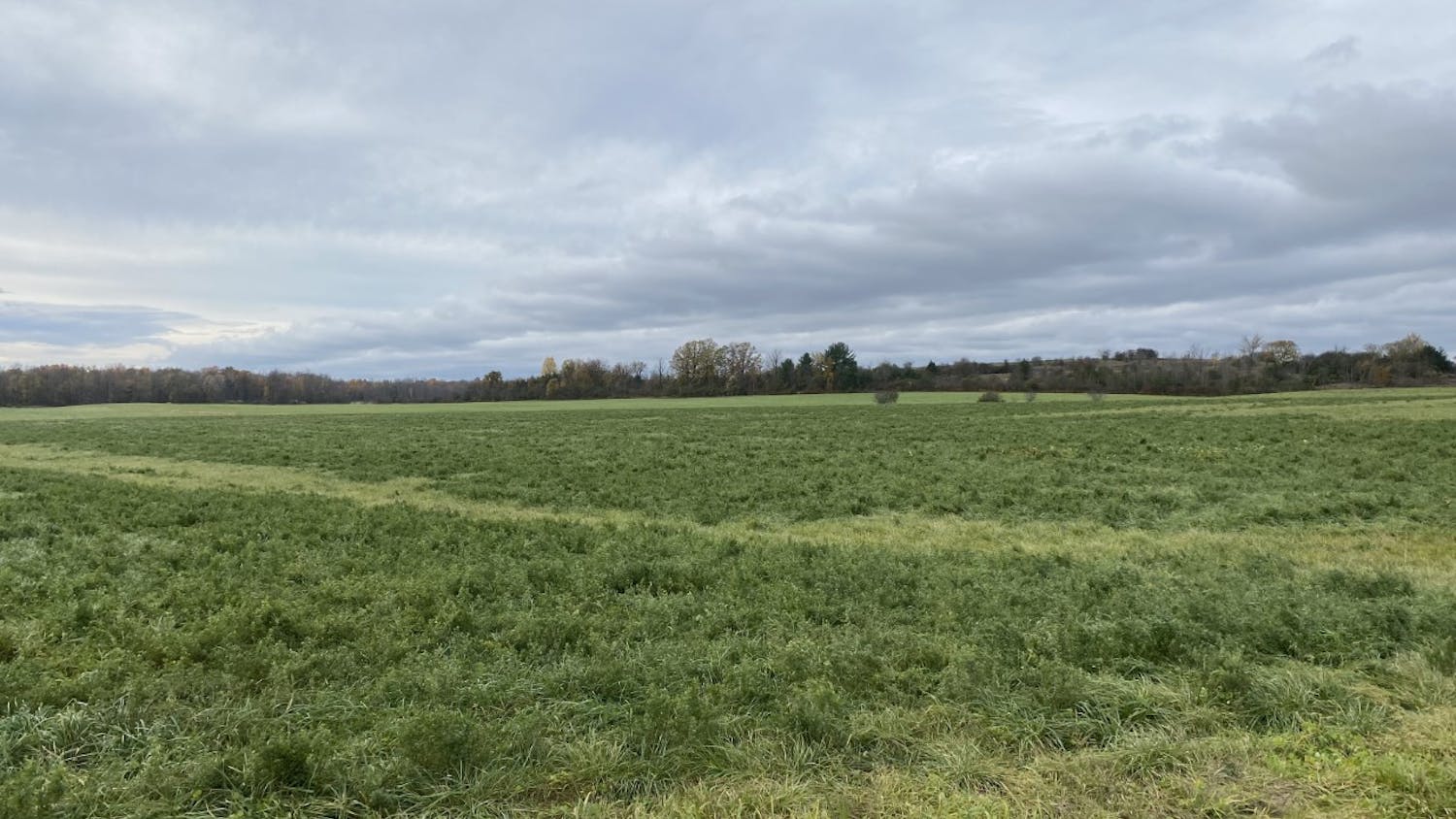 Solar Panel Field.jpg