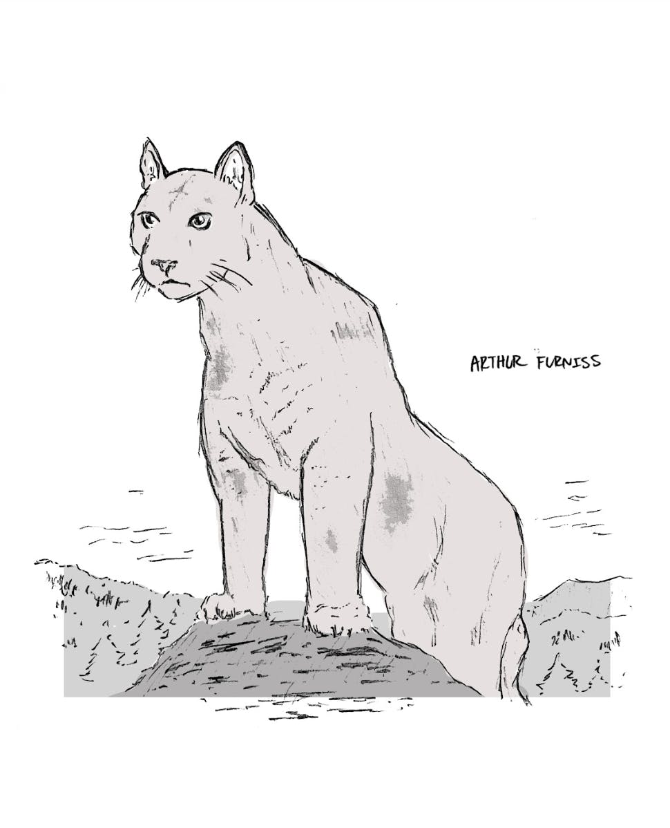 Screen Shot 2023-01-25 at 8.04.52 PM.png