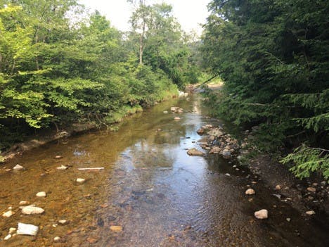 5a-Robert-Frost-Trail-Ellie-Kroger-Color