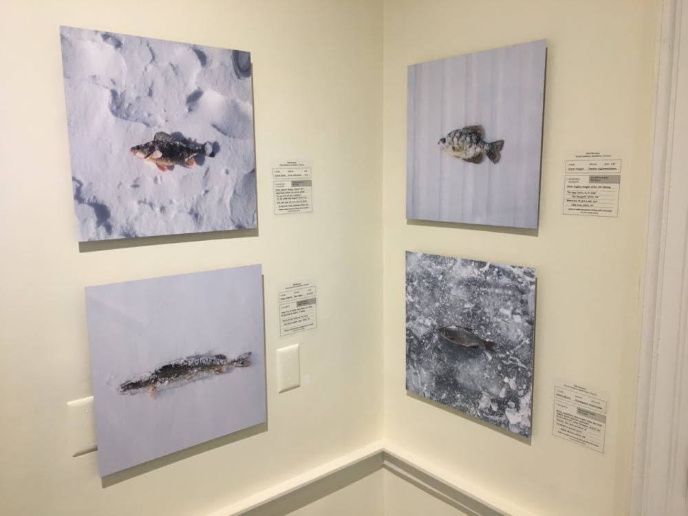 <span class="photocreditinline">Porter Bowman/The Middlebury Campus</span><br />Images from the Ice Shanties exhibit feature a typical day’s catch.