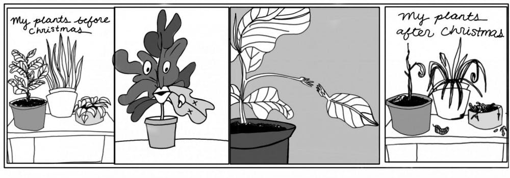 plant-cartoon