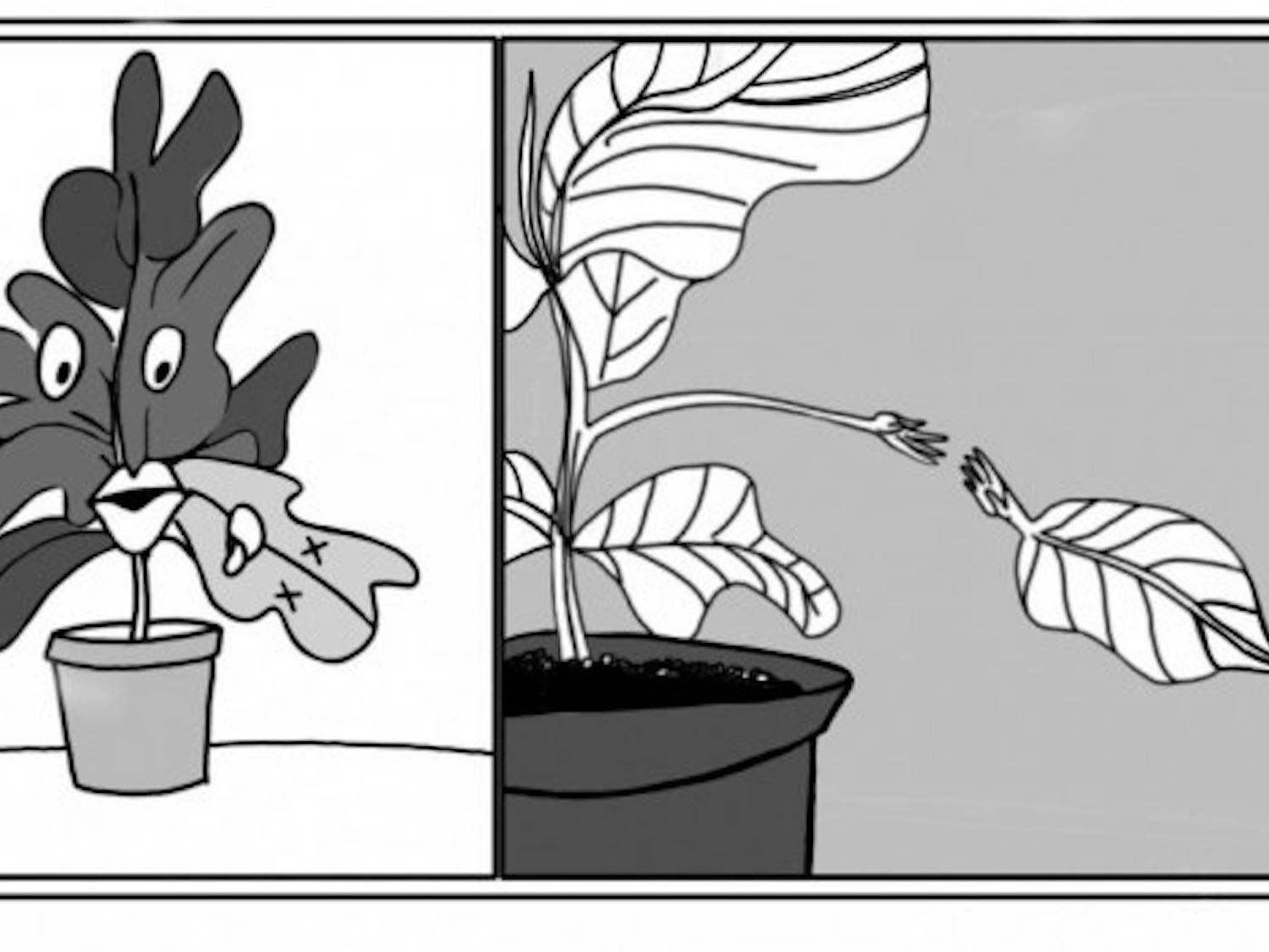 plant-cartoon