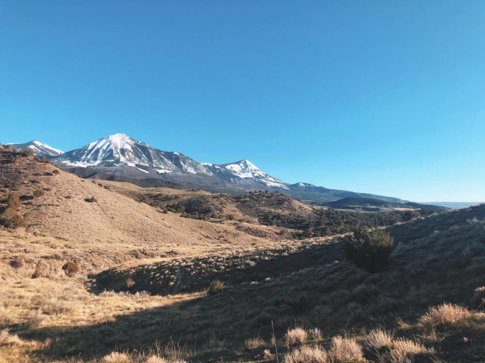 DDFEF587-00EF-44D7-8096-E6E47101A5BB-Marisa-Edmondson