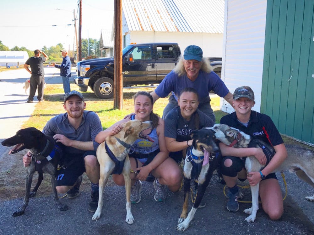 <span class="photocreditinline">COURTESY PHOTO</span><br />Doug Butler (above), Ben Barrett ‘20.5 (far left) and Jules Struznya ‘19.5 (far right) have worked for the last few years to established the Cobble Hill Dog Kennel. With over 50 dogs, the Kennel now offers dog-sledding tours to the public during the winter season, and dry-land cart sledding during the fall.