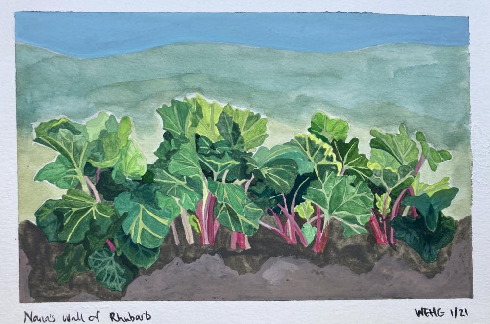 Daylight-Zine-Artist-Willow-Galusha-22.5