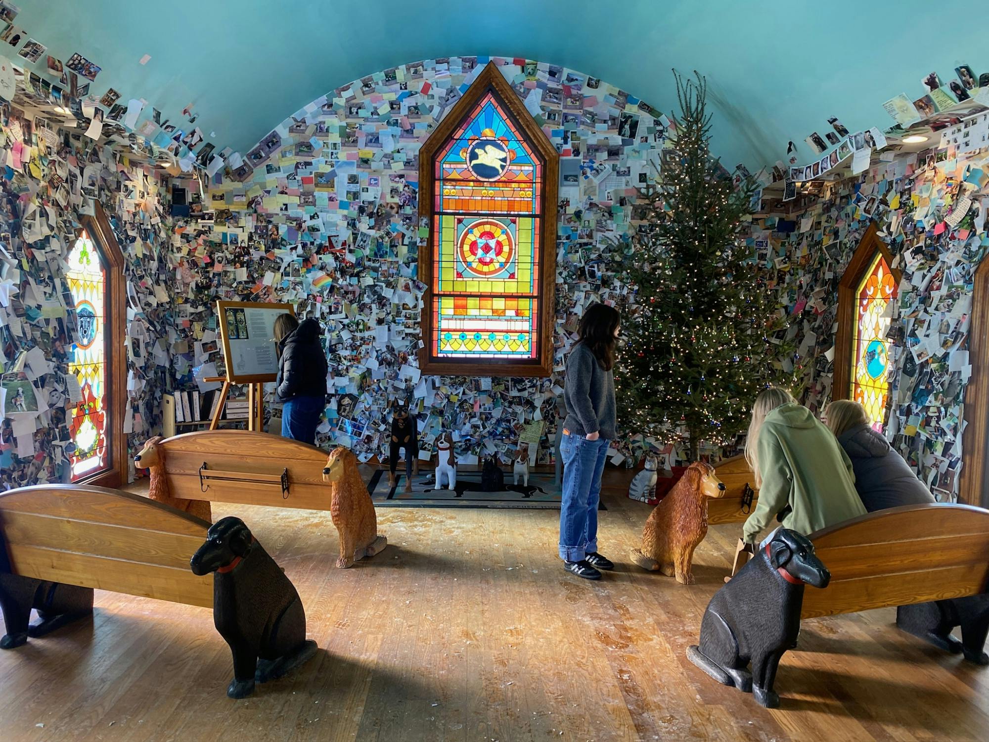 Dog Mountain_EllieTrinkle.JPG