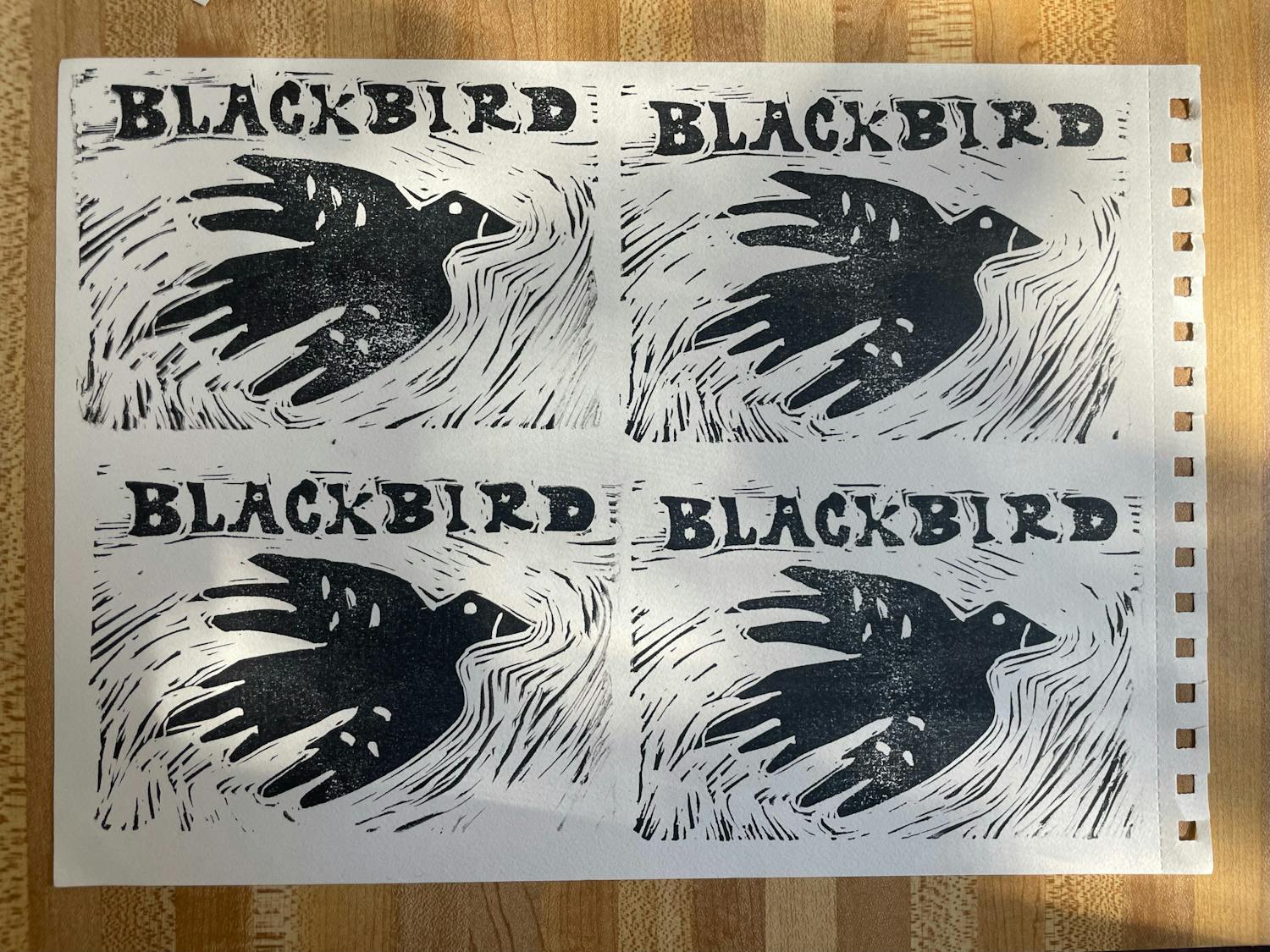 Blackbird.jpeg
