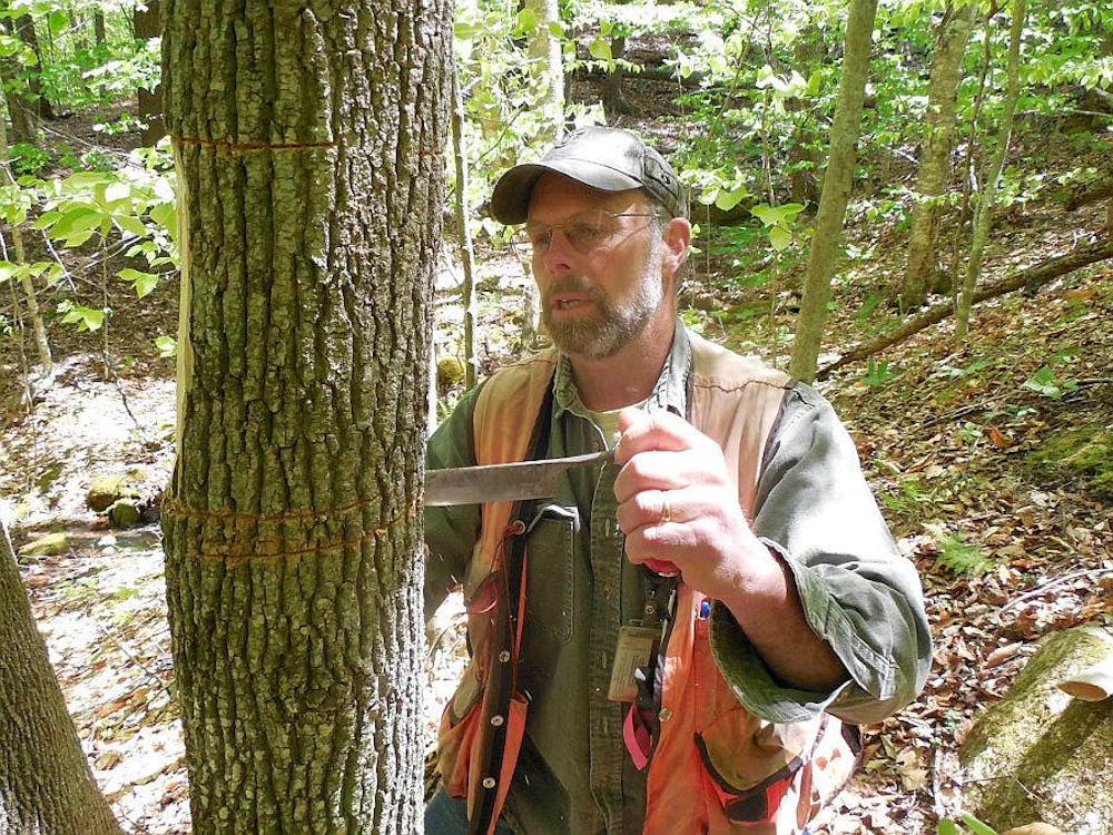 <span class="photocreditinline">Vermont Agency of Natural Resources</span><br />Bark damaged by the Emerald Ash Borer.