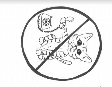 Screen-Shot-2019-10-30-at-4.22.38-PM