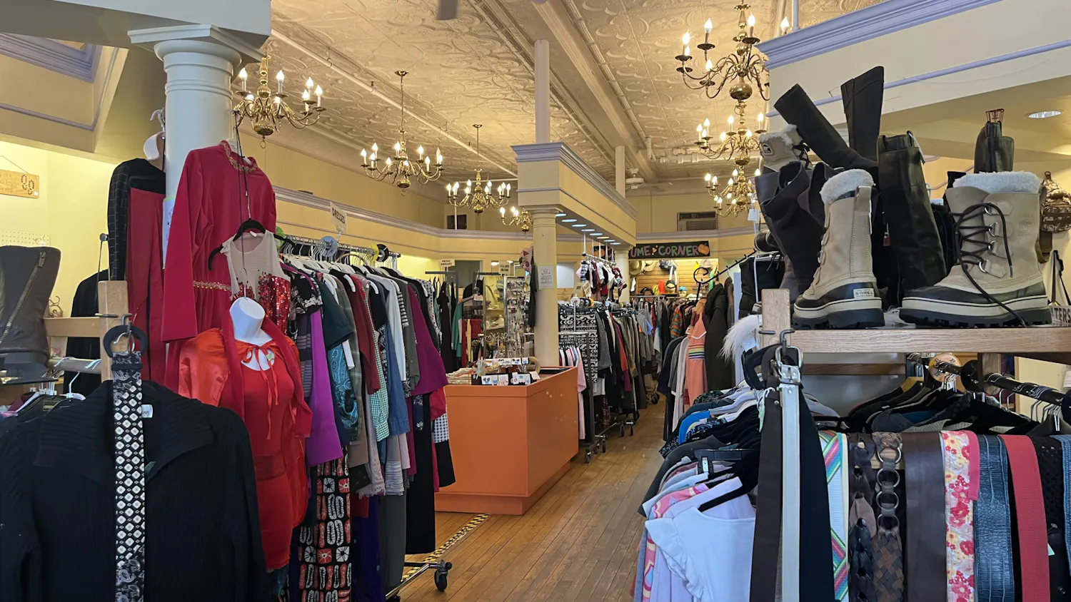 main image - IMG_4221.jpeg