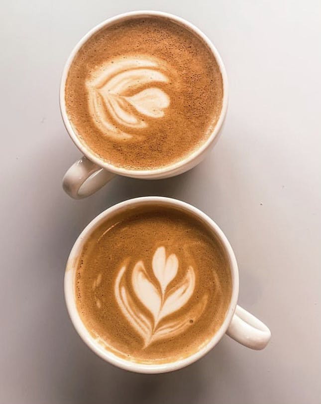 little seed courtesy olivia mueller.heic