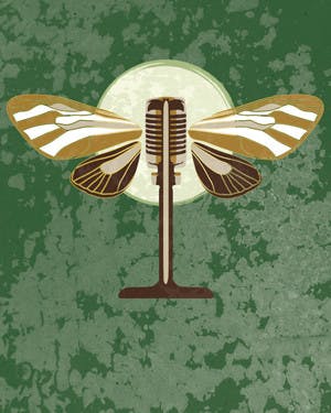 color2_cocoon_poster_2015