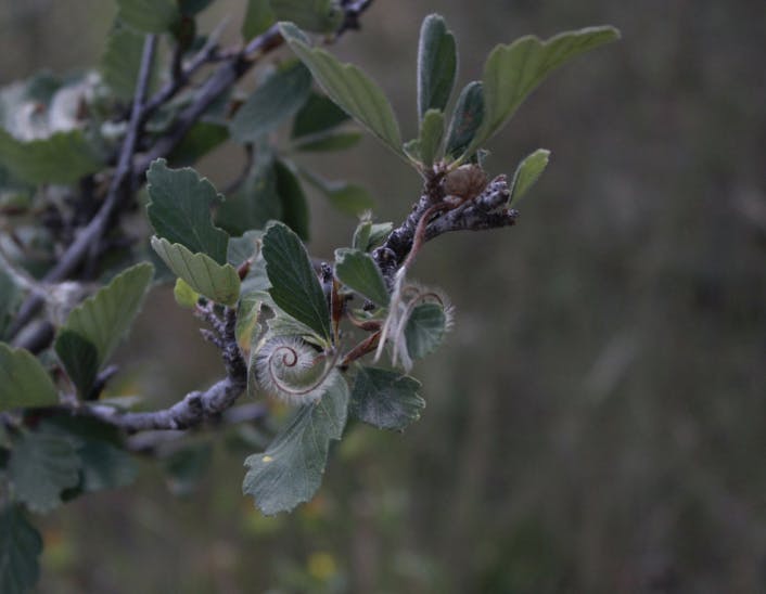 Screen Shot 2023-03-08 at 7.46.20 PM.png