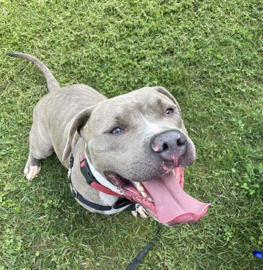 Screen Shot 2024-03-14 at 5.43.18 AM.png