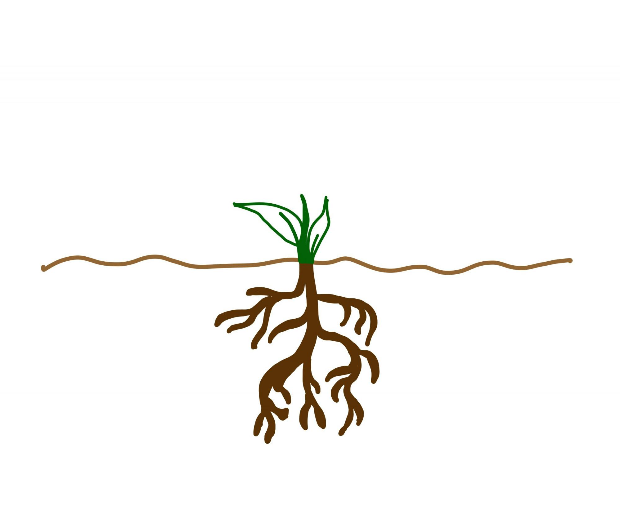 Febs and other winter celebrations by Daleelah Saleh.jpg