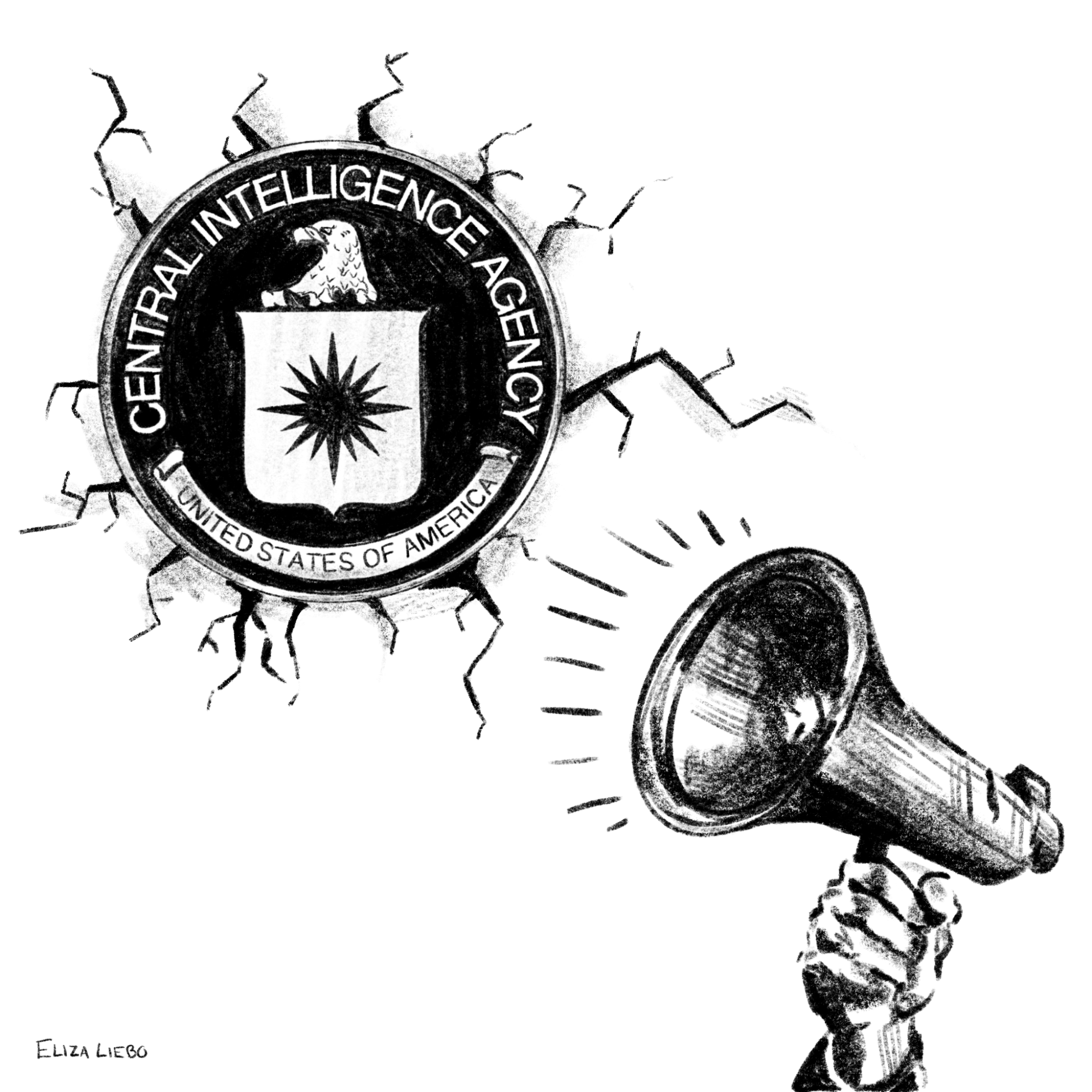 CIA Protest Graphic.png