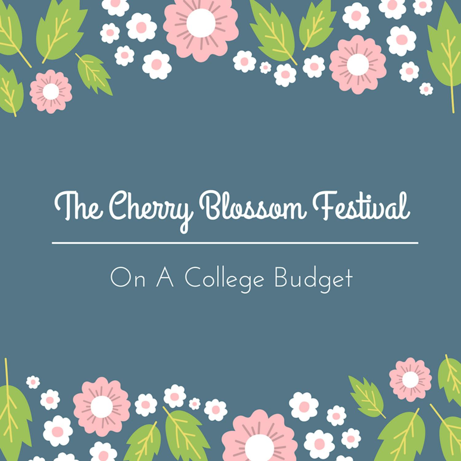 The-Cherry-Blossom-Festival