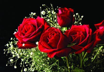 Cluster_Valentines_3A