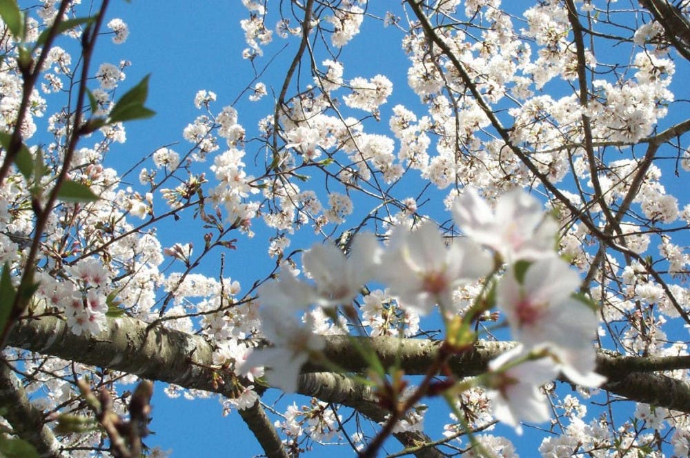 CB_ONLINE-e1520972930909