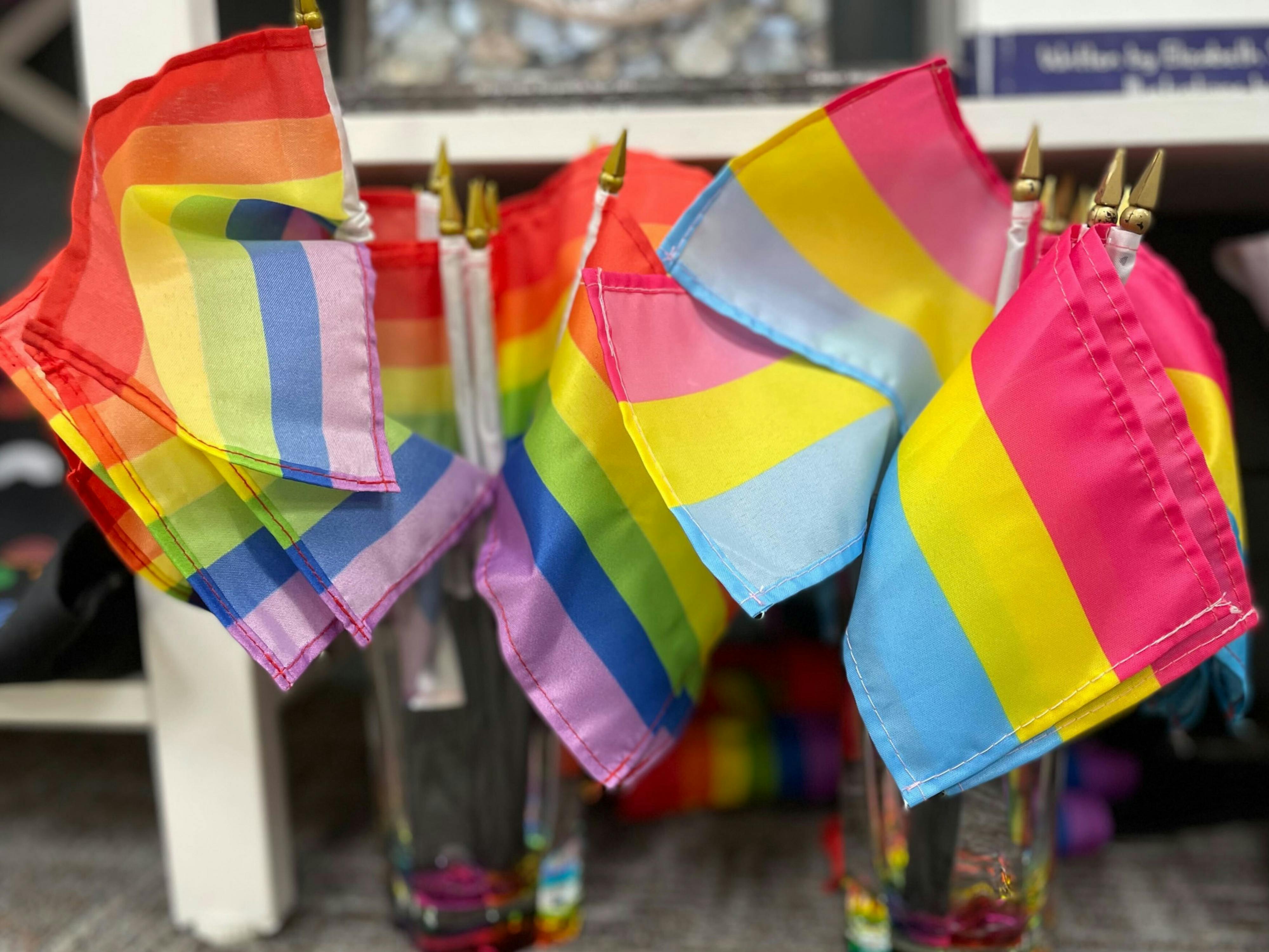 Macon Pride Festival promises an event-filled week of celebration - Vimarsana News
