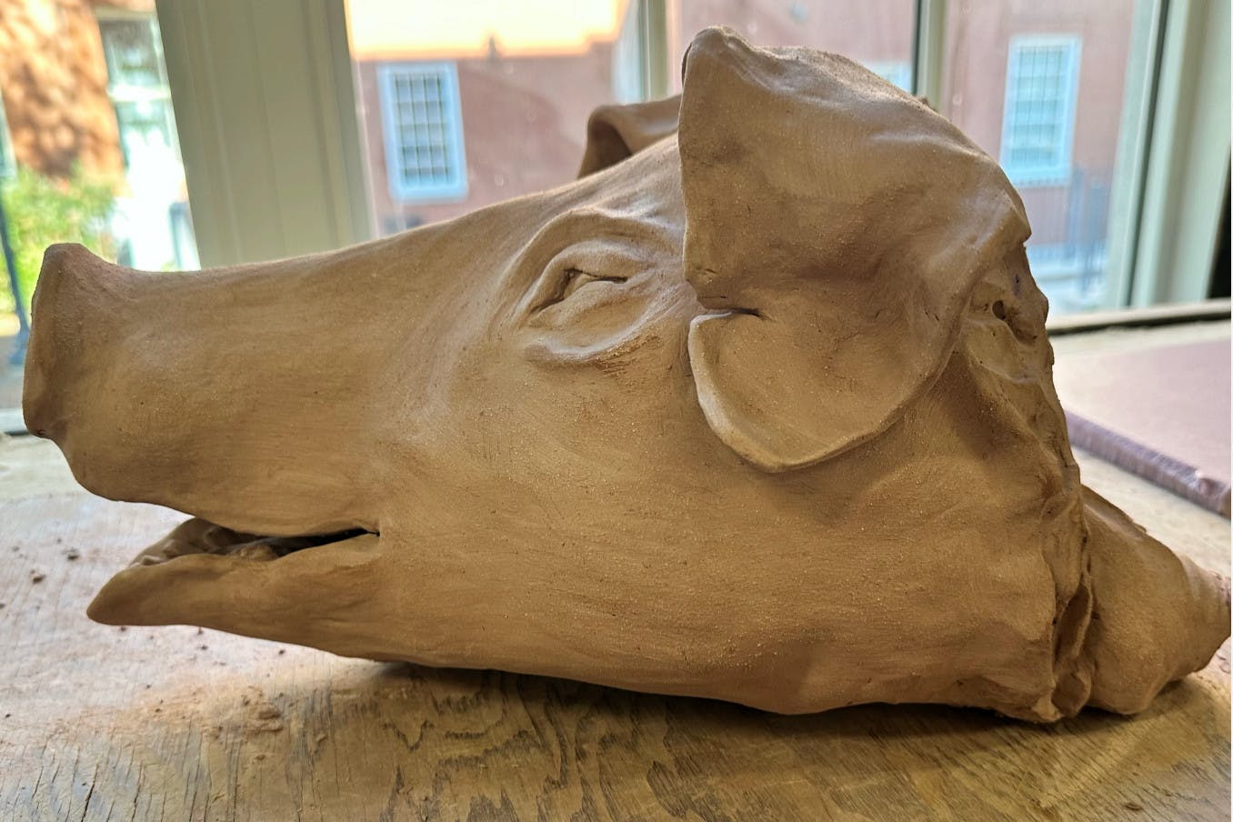 Screenshot 2026-02-18 at 9.15.jpg